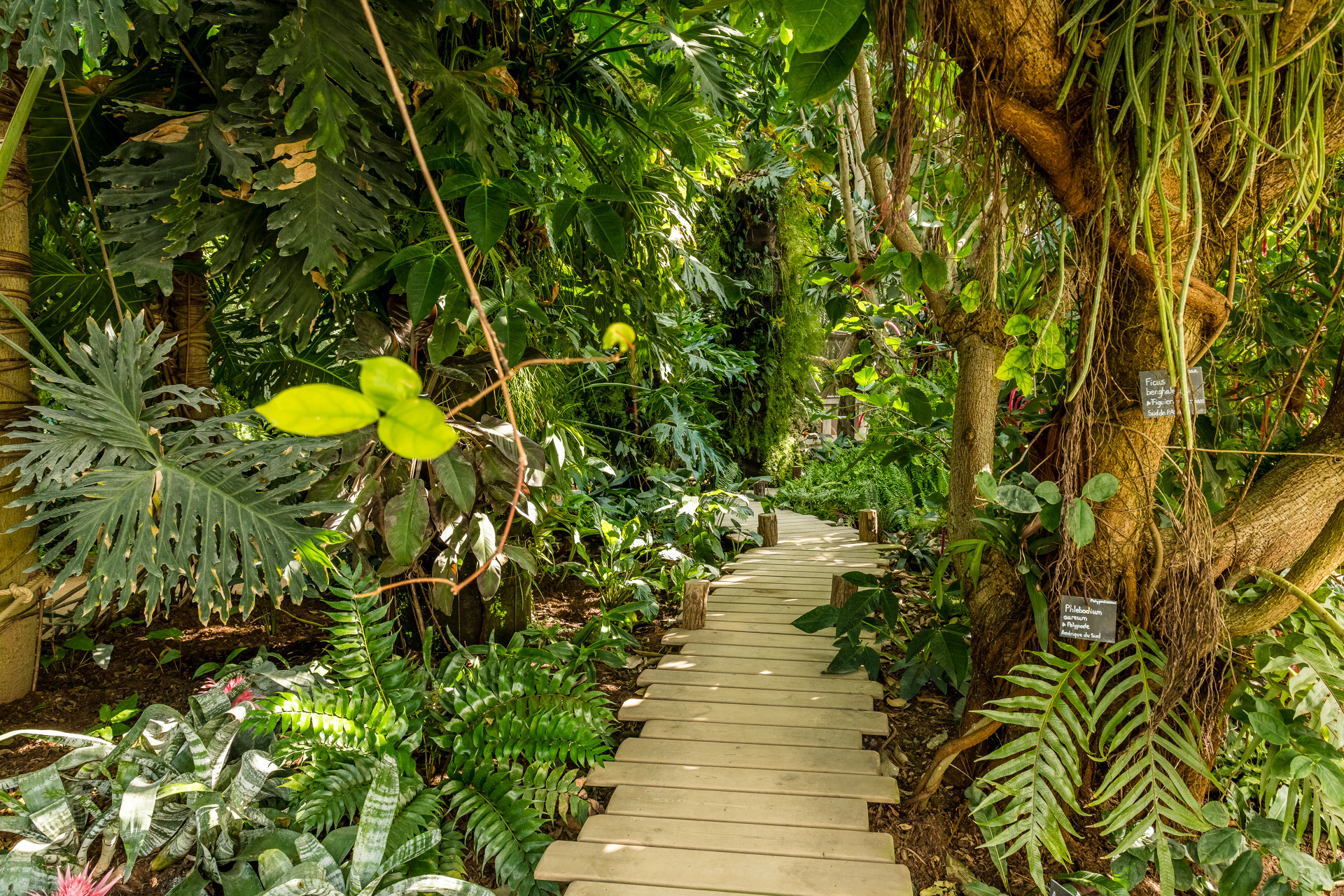 10 Botanica in Los Angeles Neighborhoods