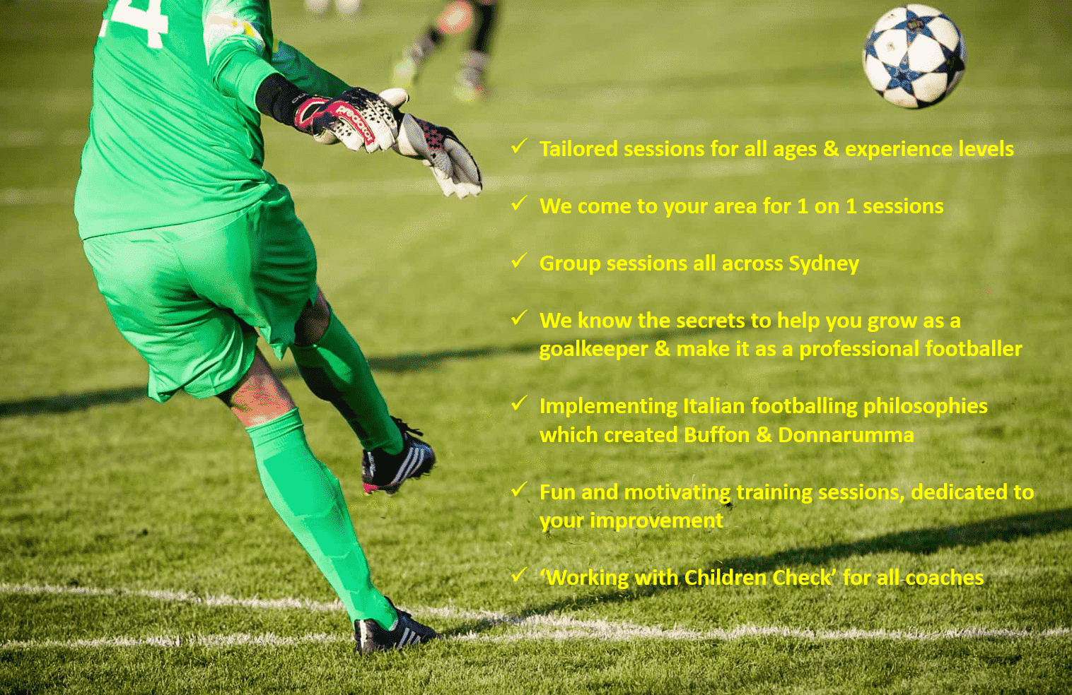 10 Goalkeeper Training in New York Neighborhoods