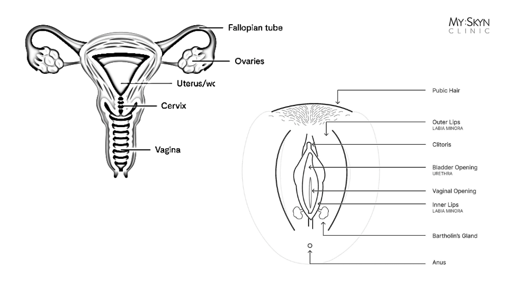 10 Vaginal Bleaching in New York Neighborhoods