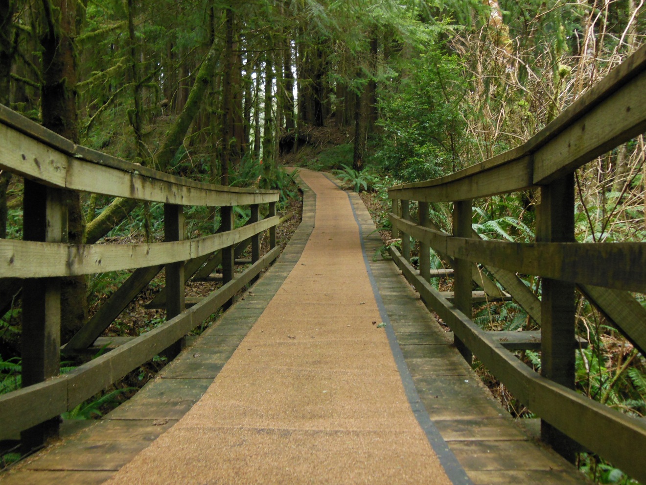 10 Walking Trails in Los Angeles Neighborhoods