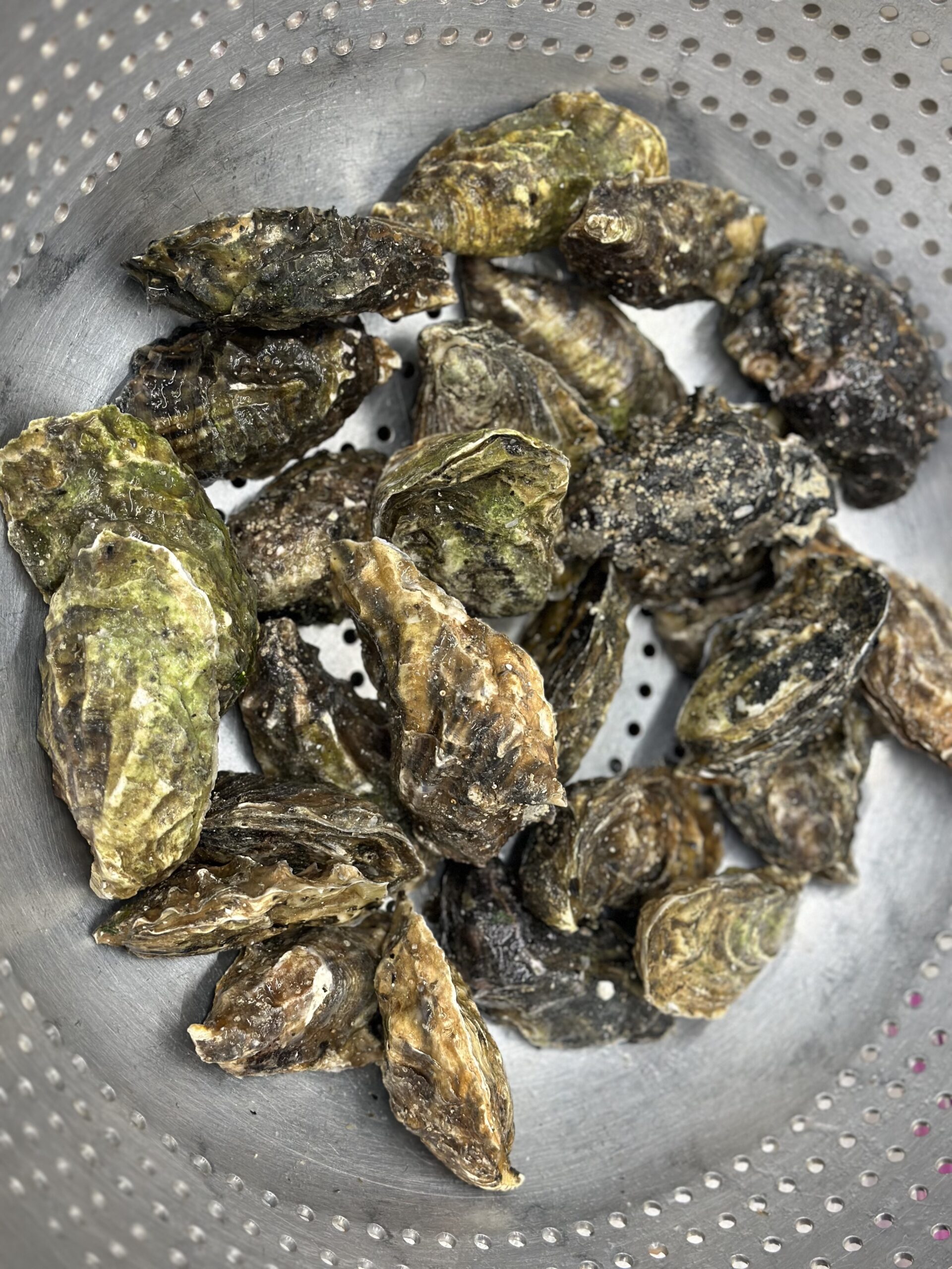 10 $1 Oysters in New York Neighborhoods