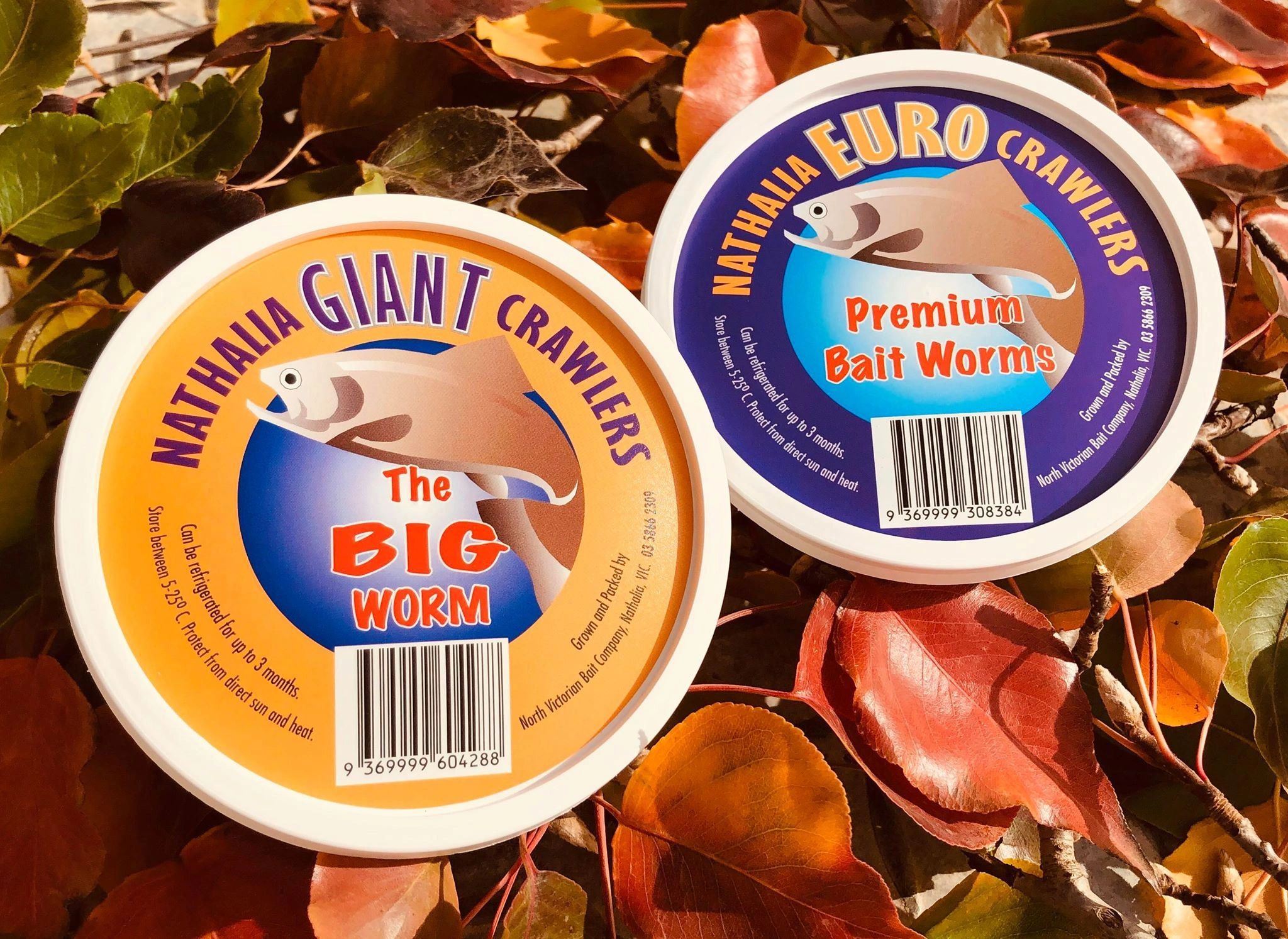 10 Bait Worms in New York Neighborhoods