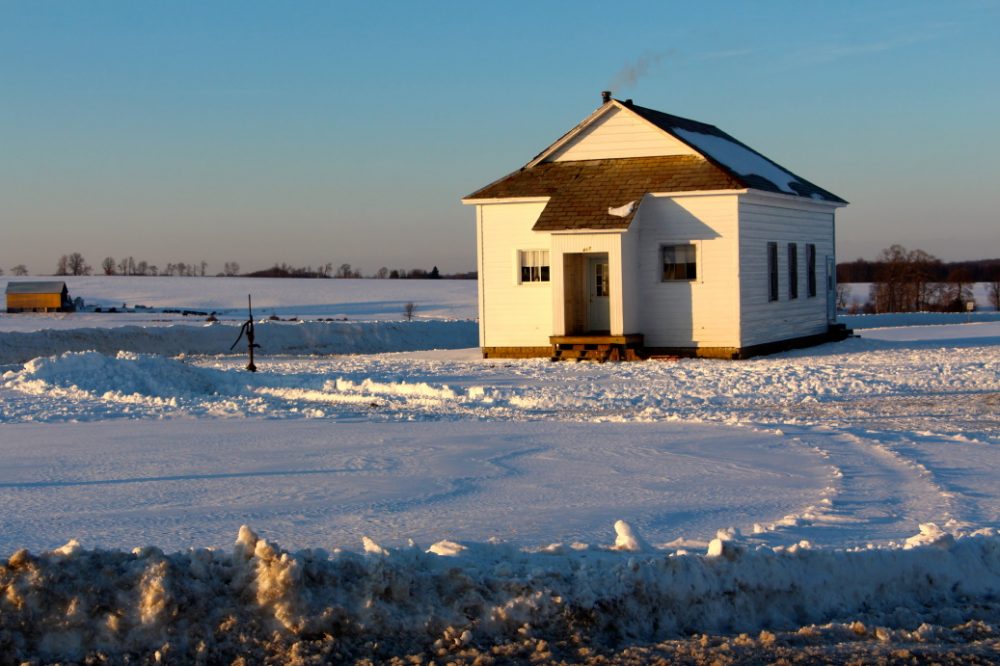 10 Amish Community in New York Neighborhoods