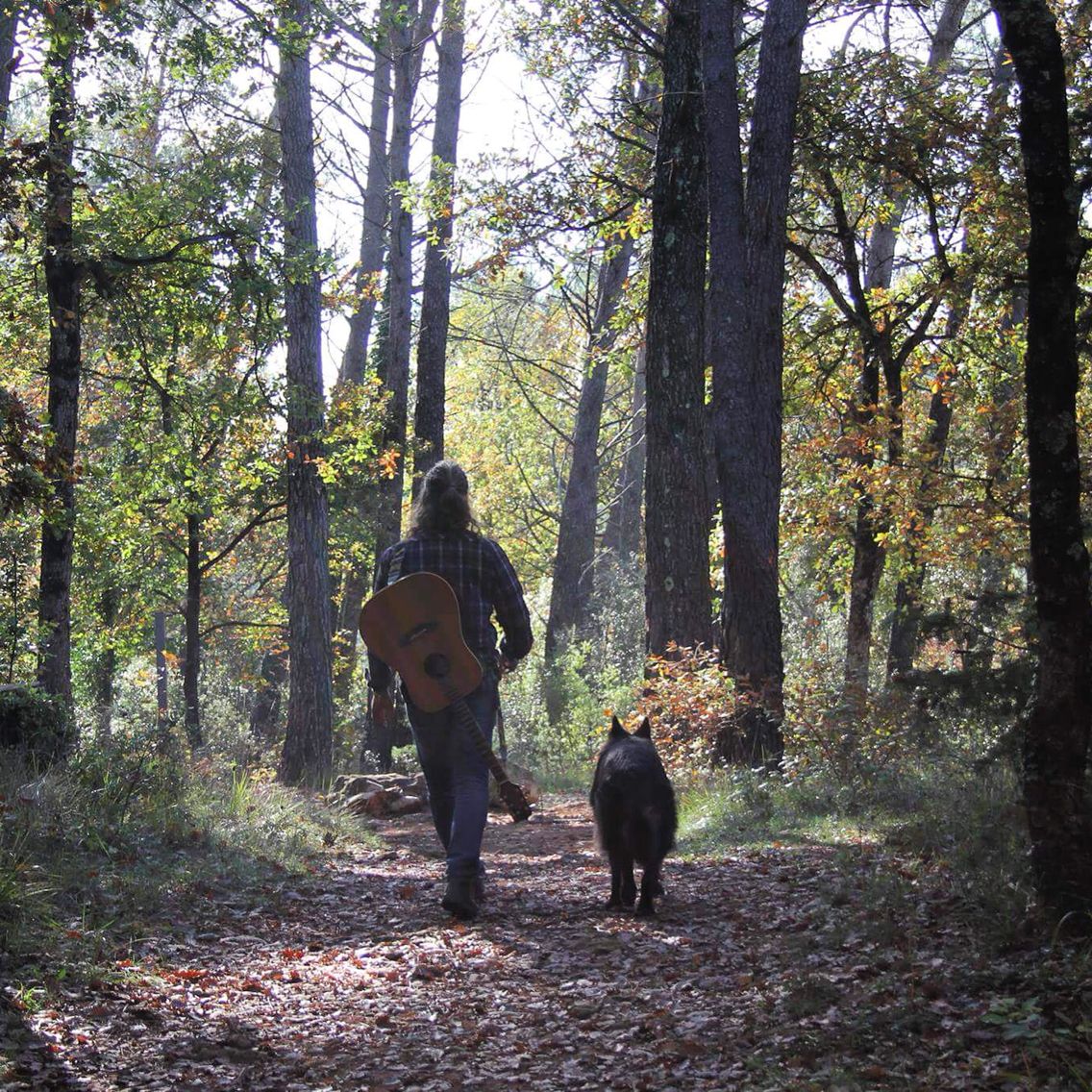 10 Places To Walk Dogs in New York Neighborhoods