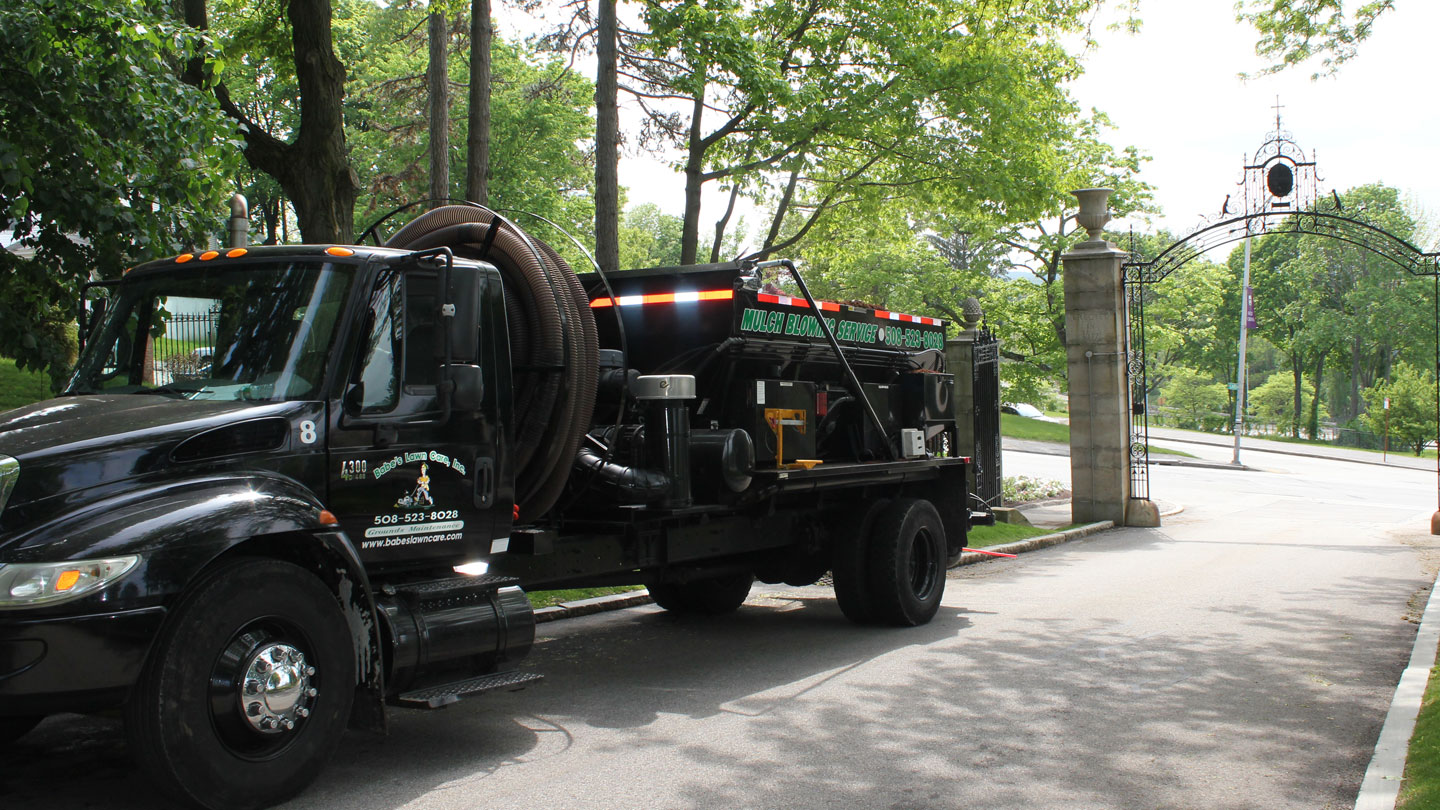 10 Mulching Service in New York Neighborhoods