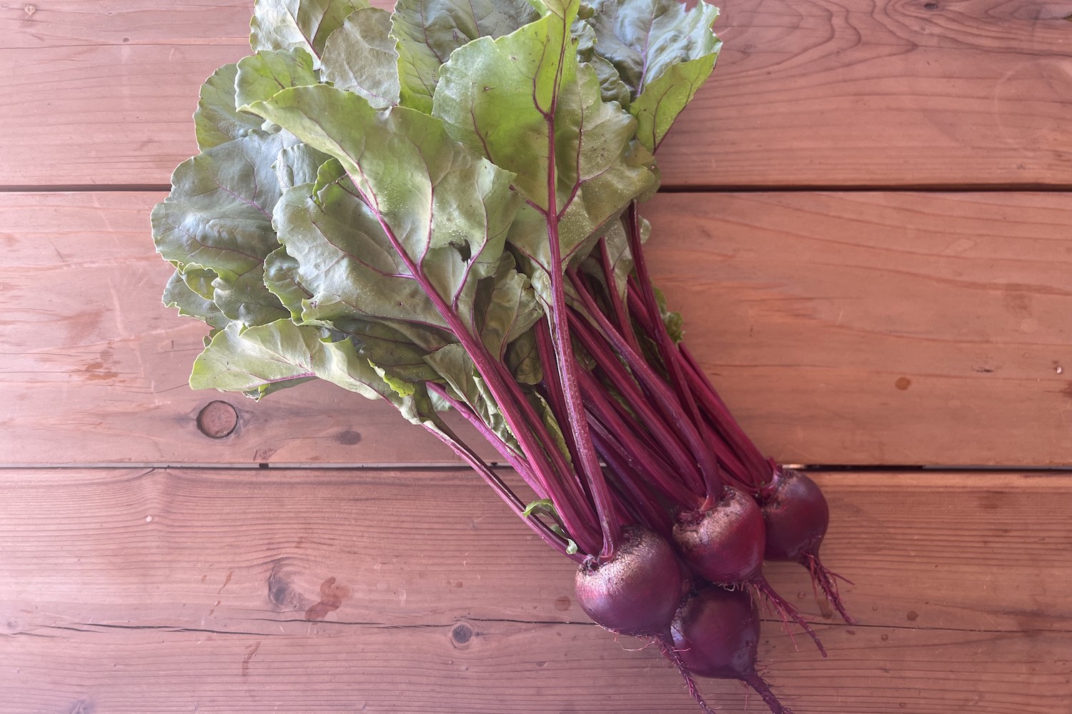 10 Beets in New York Neighborhoods