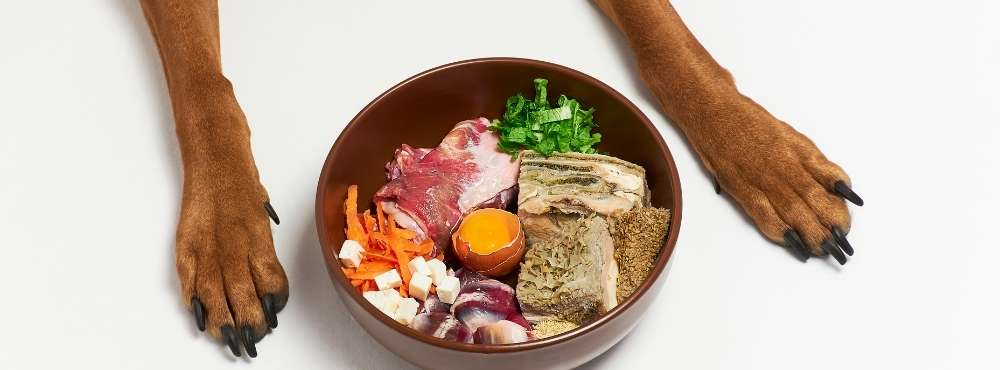 10 From Dog Food in New York Neighborhoods