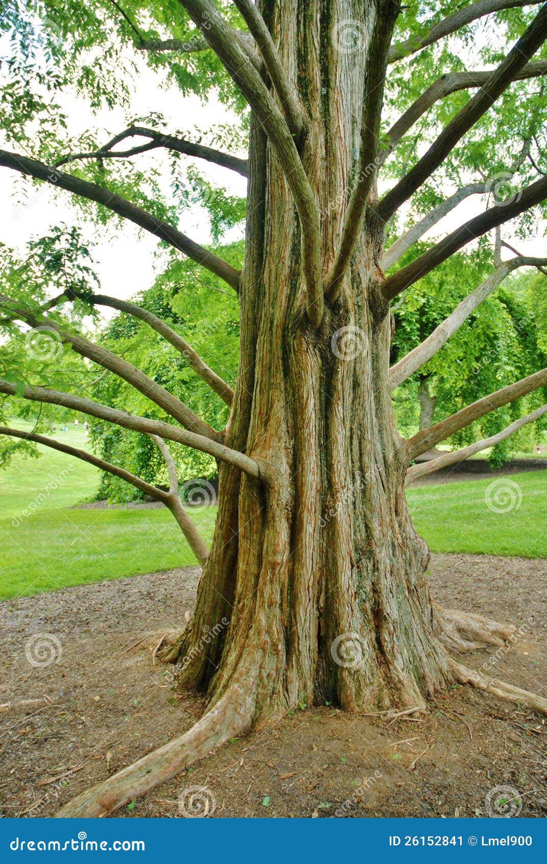 10 Trunk Or Treat in Los Angeles Neighborhoods