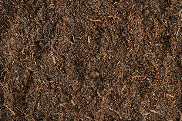 10 Bulk Compost in New York Neighborhoods