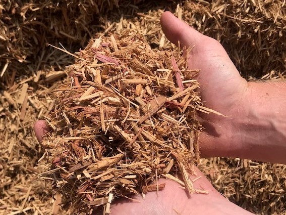 10 Cedar Mulch in New York Neighborhoods
