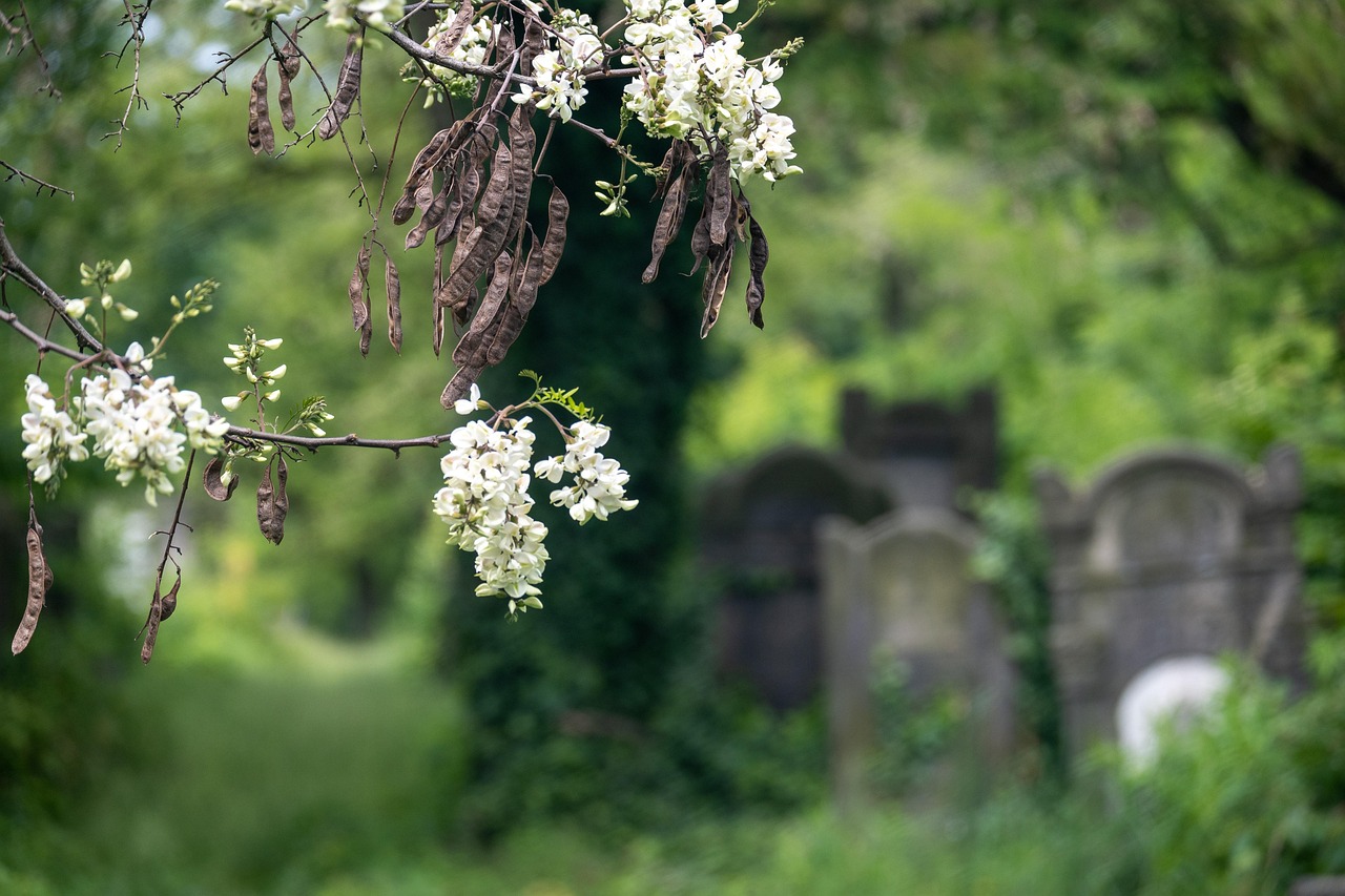 10 Cemetery Flowers in New York Neighborhoods