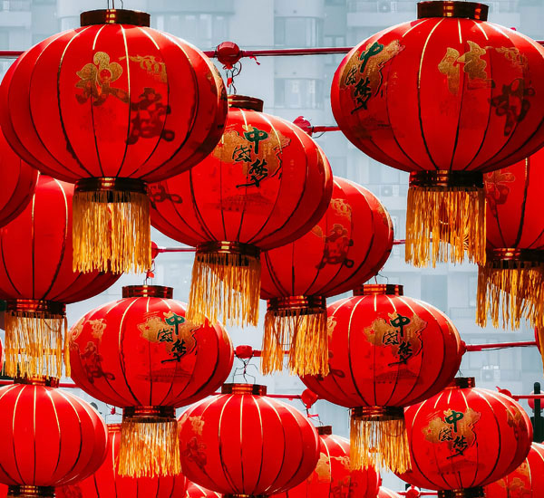 10 Chinese Herbs in New York Neighborhoods