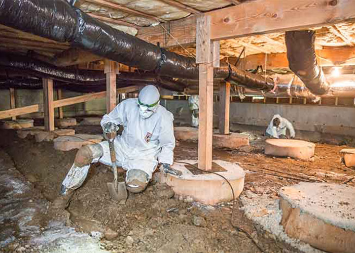 10 Crawl Space Cleaning in New York Neighborhoods