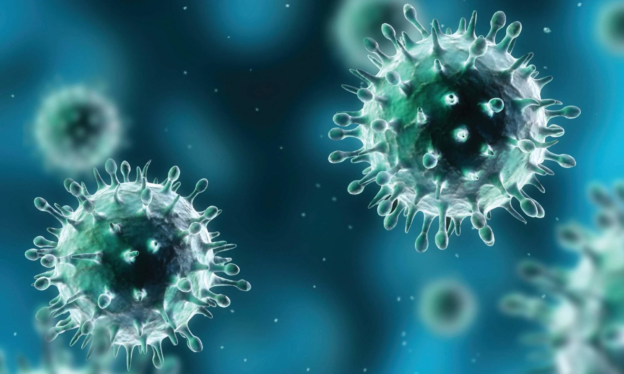 10 Infectious Disease in New York Neighborhoods