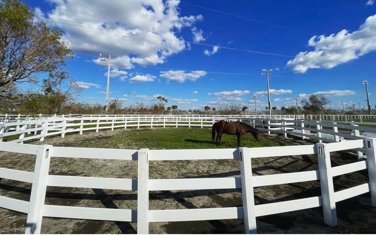 10 Places To Board Horses in New York Neighborhoods