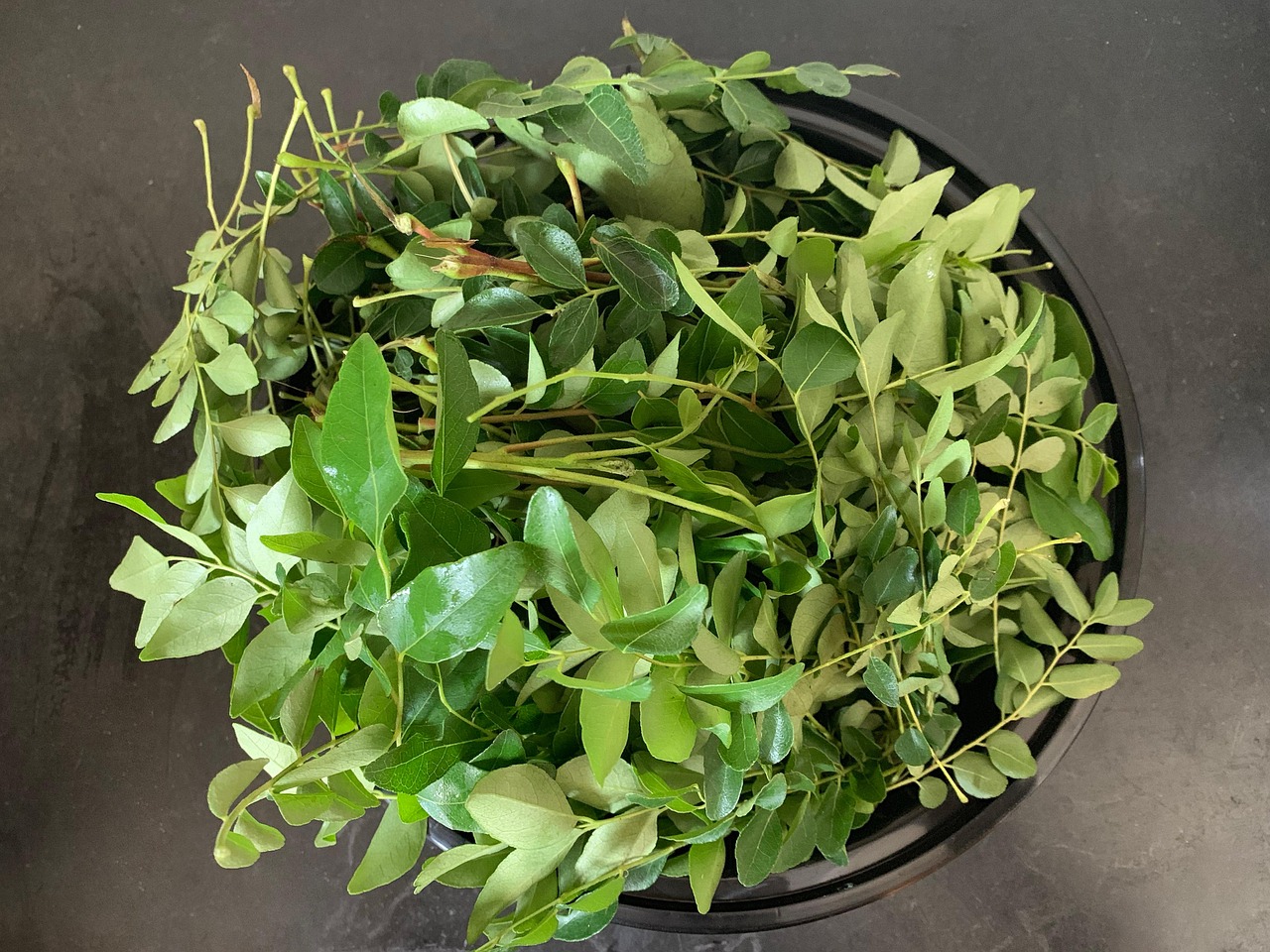 10 Curry Leaves in New York Neighborhoods