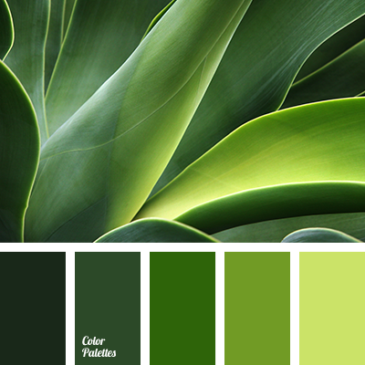 10 Green Bay Packers Bar in New York Neighborhoods