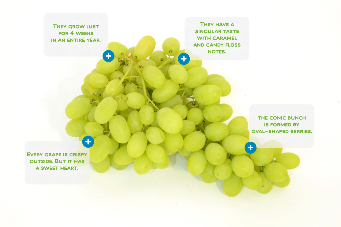 10 Cotton Candy Grapes in New York Neighborhoods
