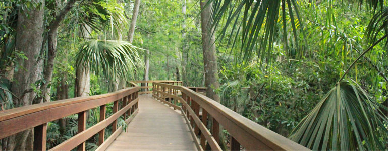 10 Easy Hiking Trails in New York Neighborhoods