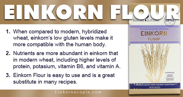 10 Einkorn Flour in New York Neighborhoods