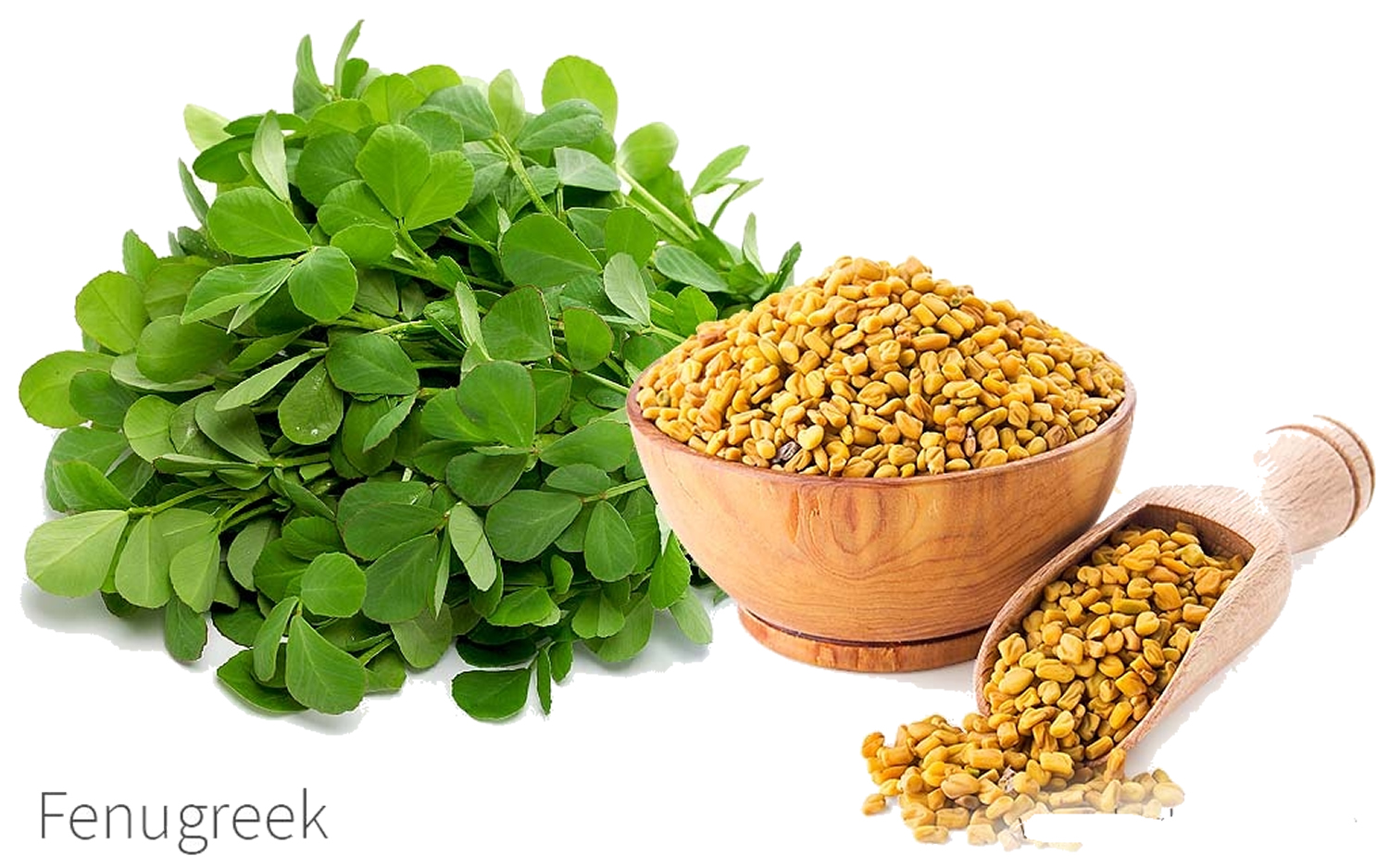 10 Fenugreek in New York Neighborhoods