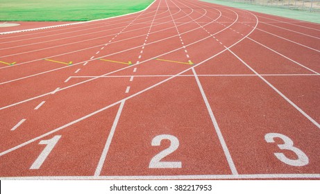 10 Tracking Field in New York Neighborhoods