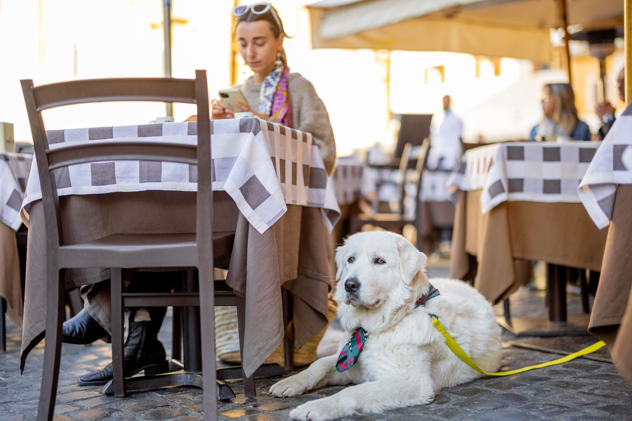 10 Restaurants Pet Friendly in New York Neighborhoods