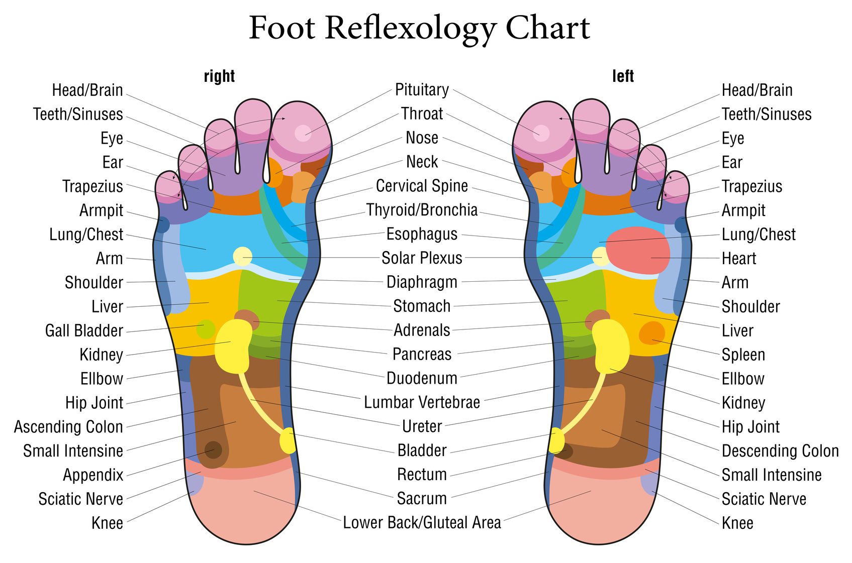 10 Foot Reflexology in New York Neighborhoods