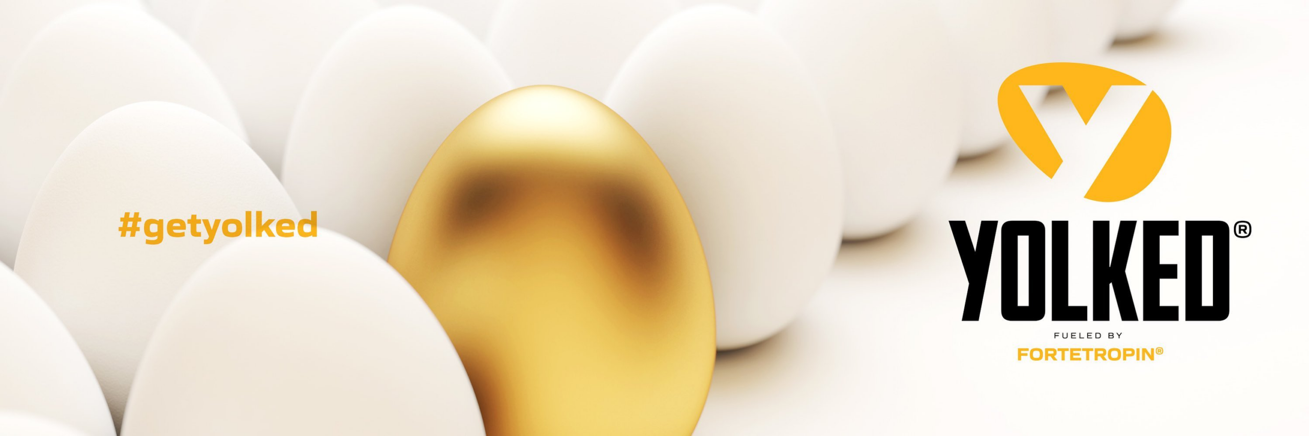 10 Yolked in New York Neighborhoods