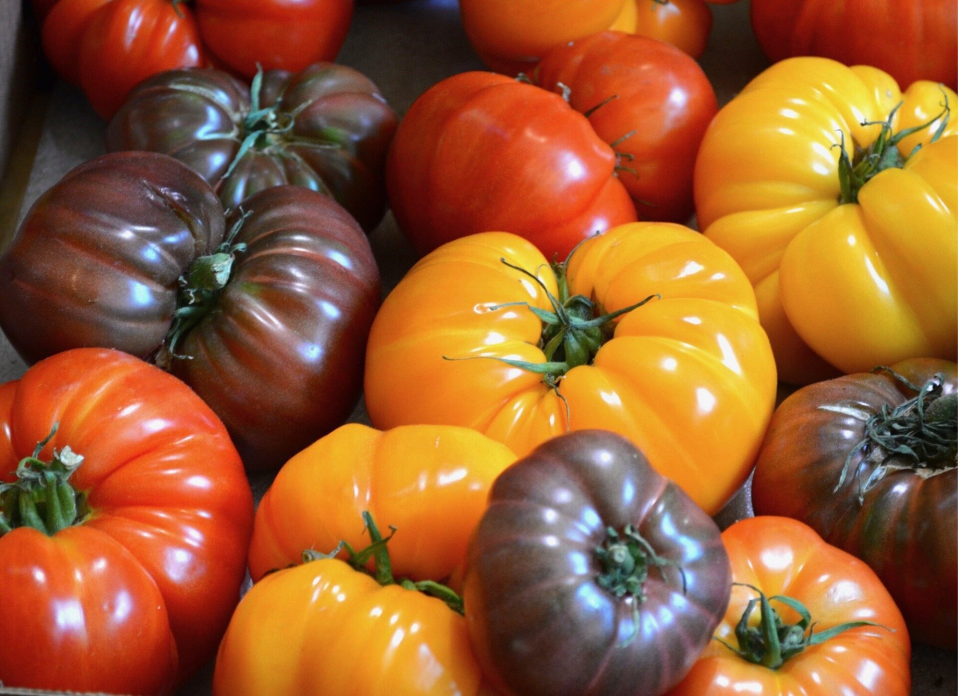 10 Heirloom Tomatoes in New York Neighborhoods