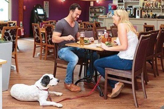 10 Pet Friendly Dining in New York Neighborhoods