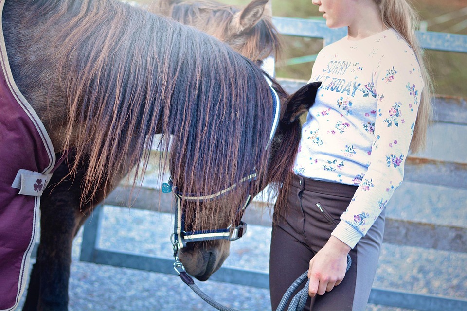 10 Pony Riding in New York Neighborhoods