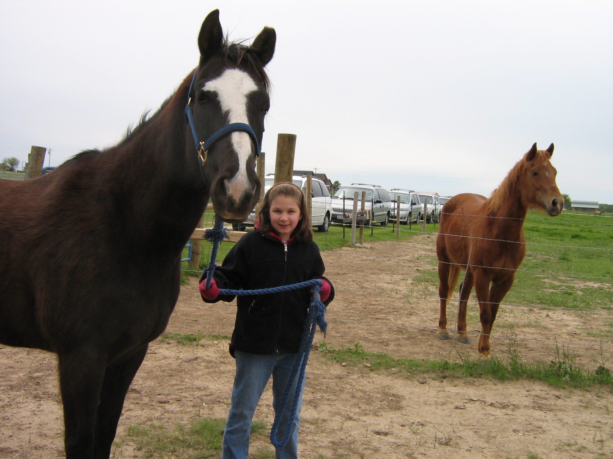 10 Western Horseback Riding Lessons in New York Neighborhoods
