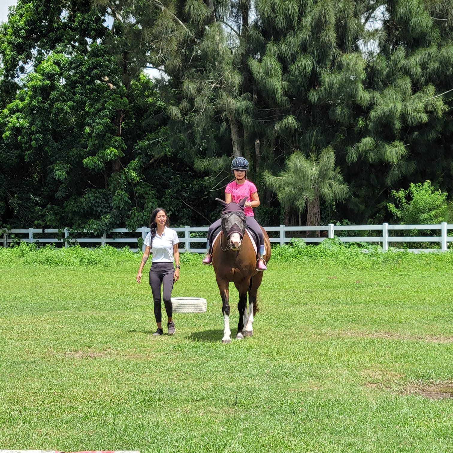 10 Horseback Riding Lessons in New York Neighborhoods