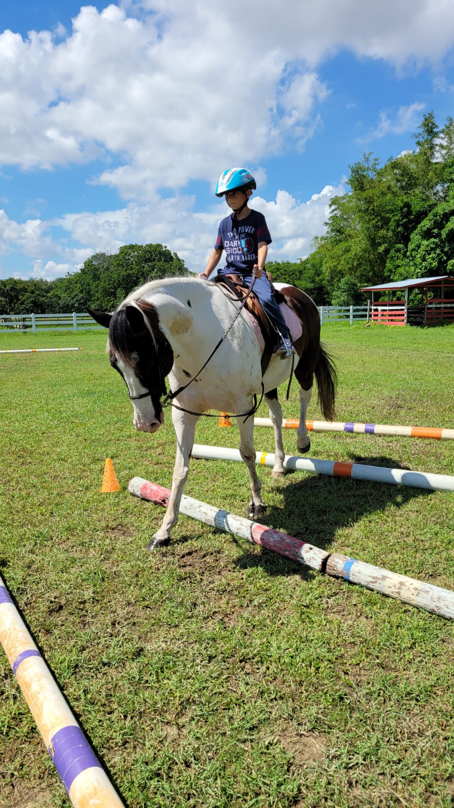 10 Horseback Lessons in New York Neighborhoods