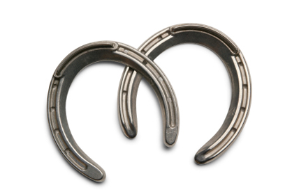 10 Horseshoes in New York Neighborhoods
