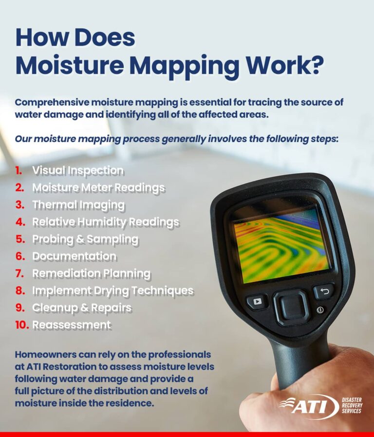 10 Moisture Mapping Services in New York Neighborhoods
