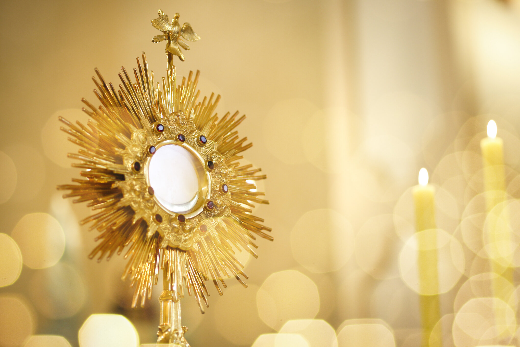 10 Adoration in New York Neighborhoods