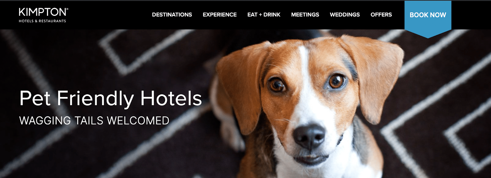 10 Hotels Pet Friendly in New York Neighborhoods