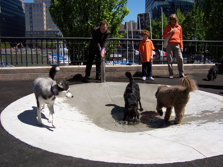 10 Best Dog Parks in New York Neighborhoods