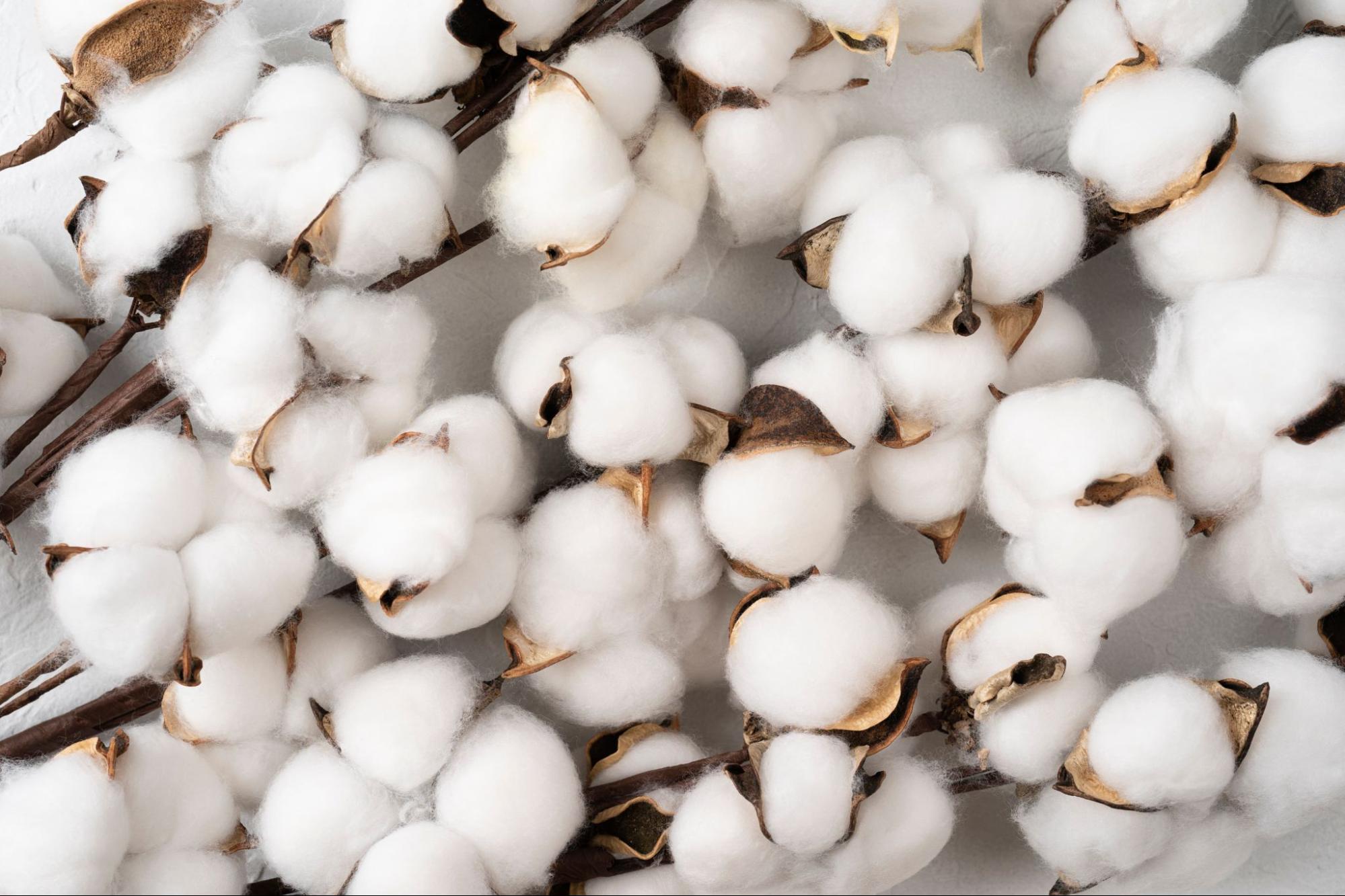 10 Cotton Patch Restaurant in New York Neighborhoods