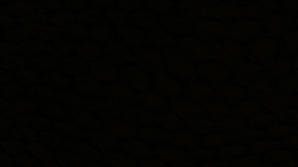 10 Black Barber in New York Neighborhoods