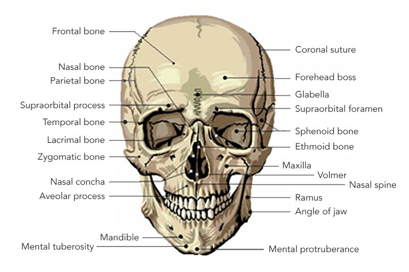 10 Cranial Sacral Therapy in New York Neighborhoods