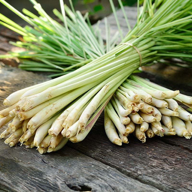 10 Lemongrass in New York Neighborhoods
