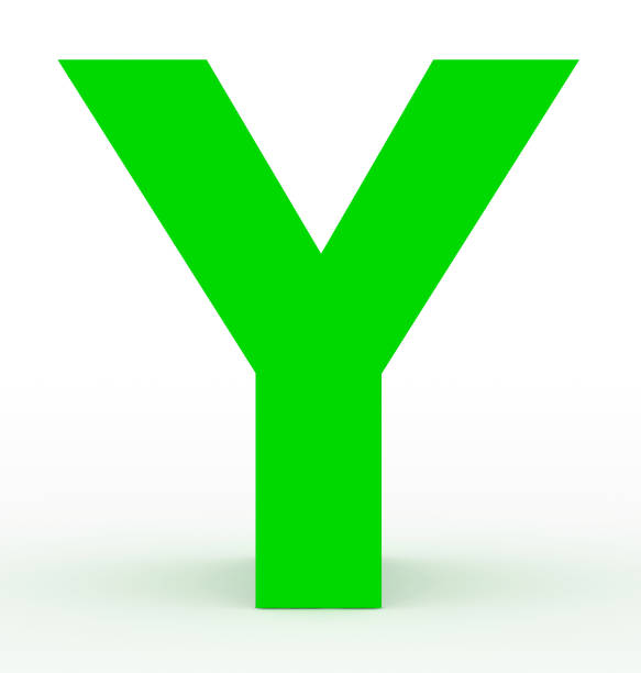 10 Y Strap Chiropractor in New York Neighborhoods