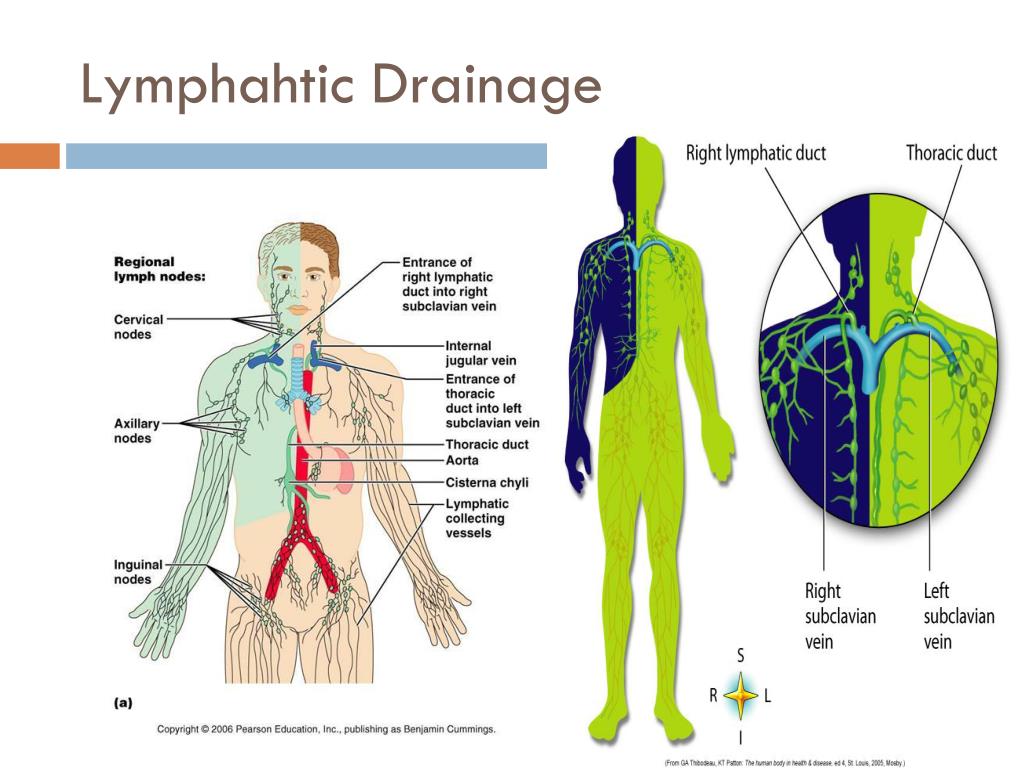 10 Lymphatic Drainage in New York Neighborhoods