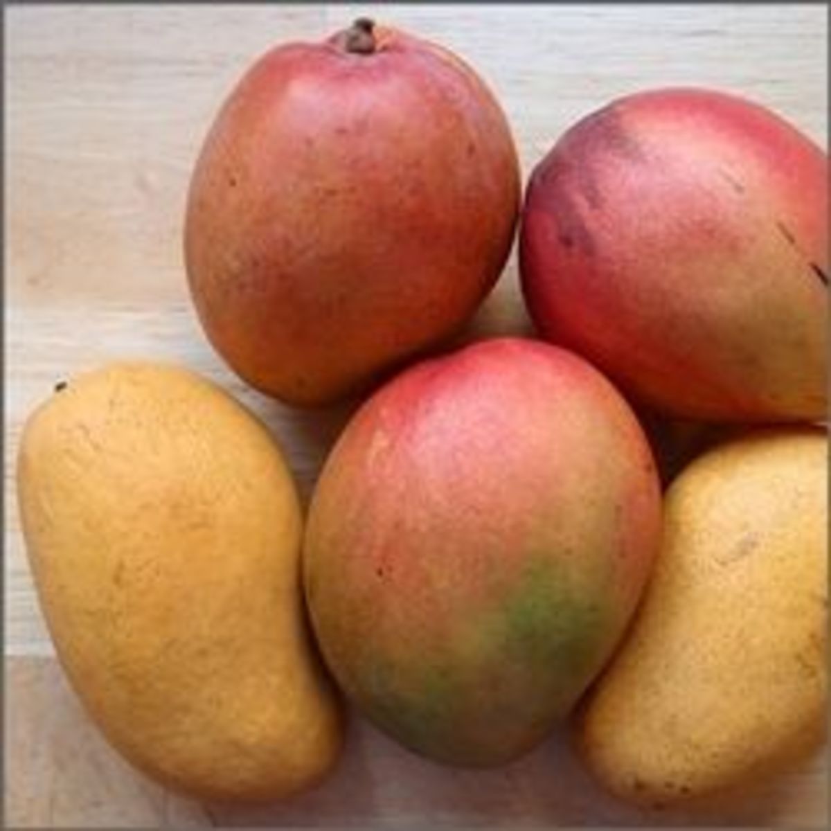 10 Mango Mango in New York Neighborhoods