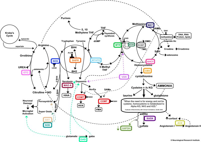 10 Genetic Methylation Testing in New York Neighborhoods