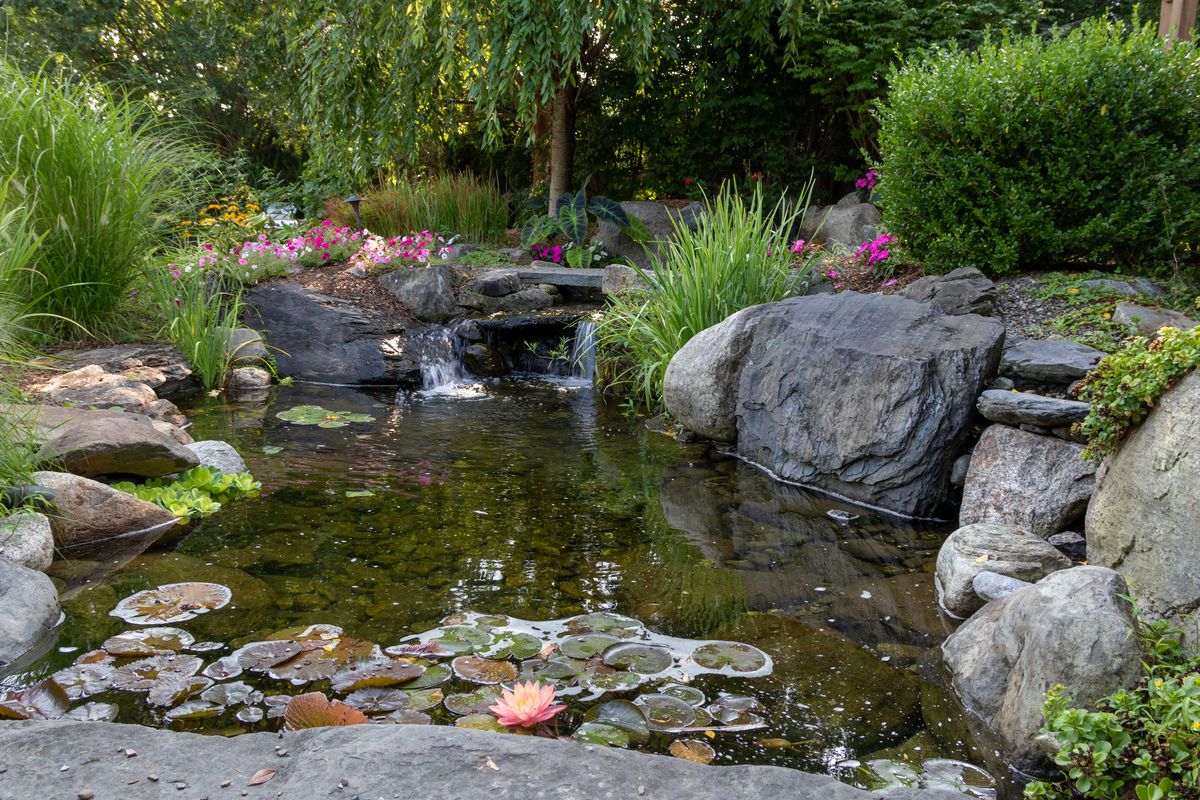 10 Pond Builders in New York Neighborhoods