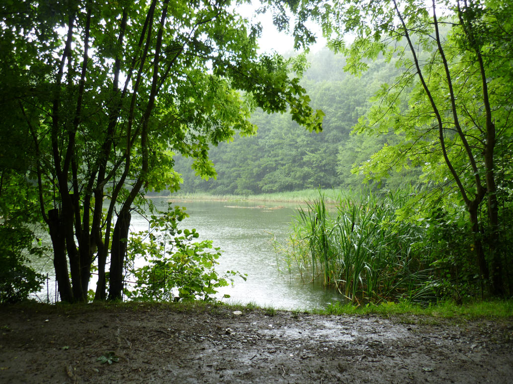 10 Nature Places in New York Neighborhoods